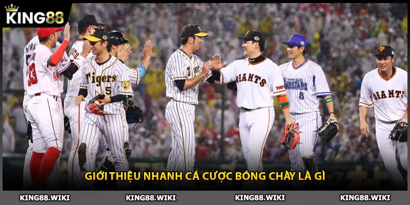 Giới thiệu nhanh cá cược bóng chày là gì
